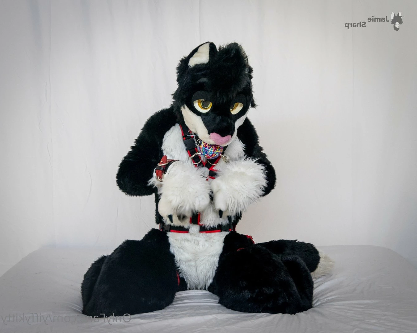 Jamie Sharp [ yiffykitty ] Onlyfans leaked photo 2581949 on Hotleaks.tv