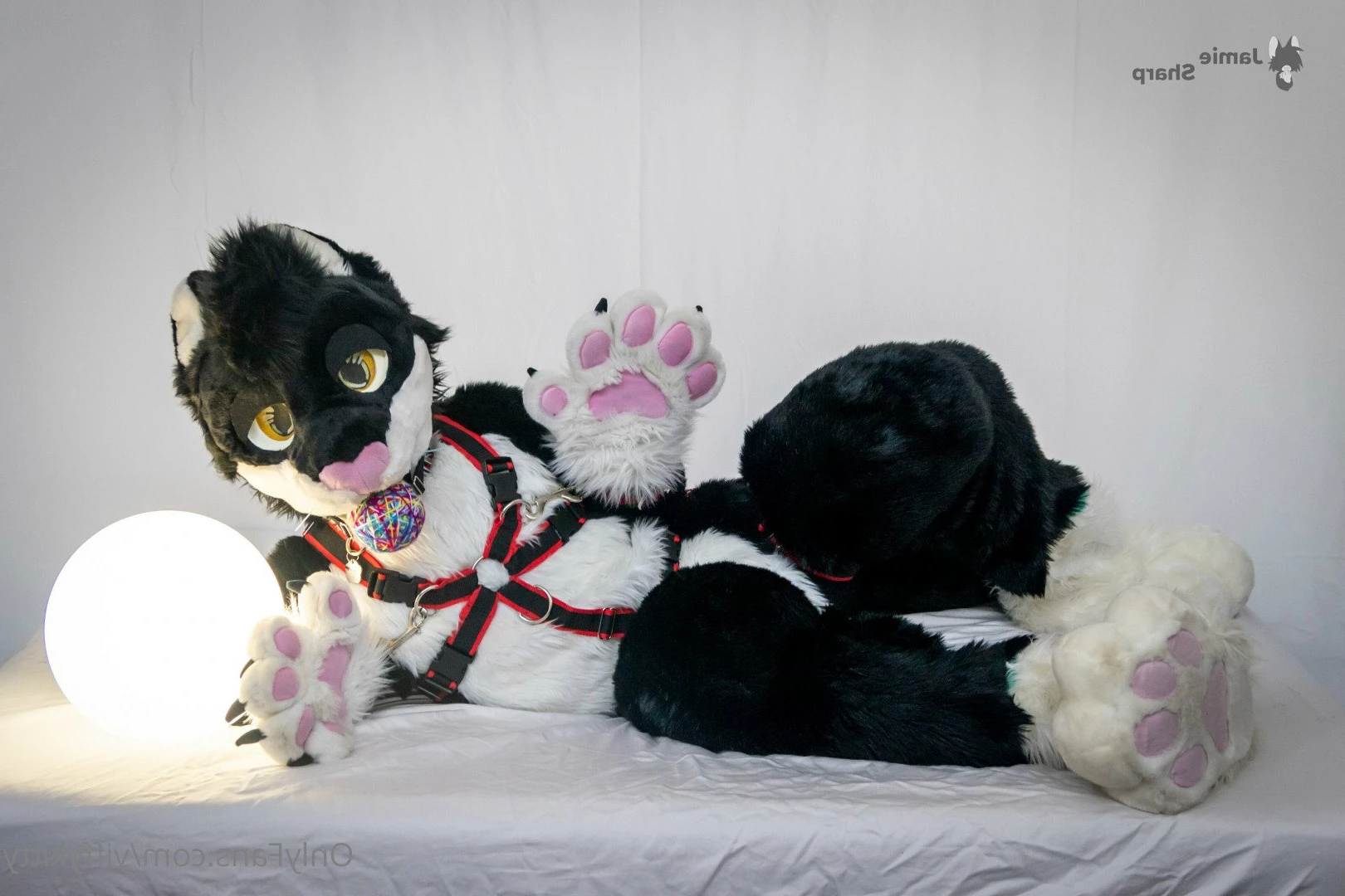 Jamie Sharp [ yiffykitty ] Onlyfans leaked photo 2581961 on Hotleaks.tv