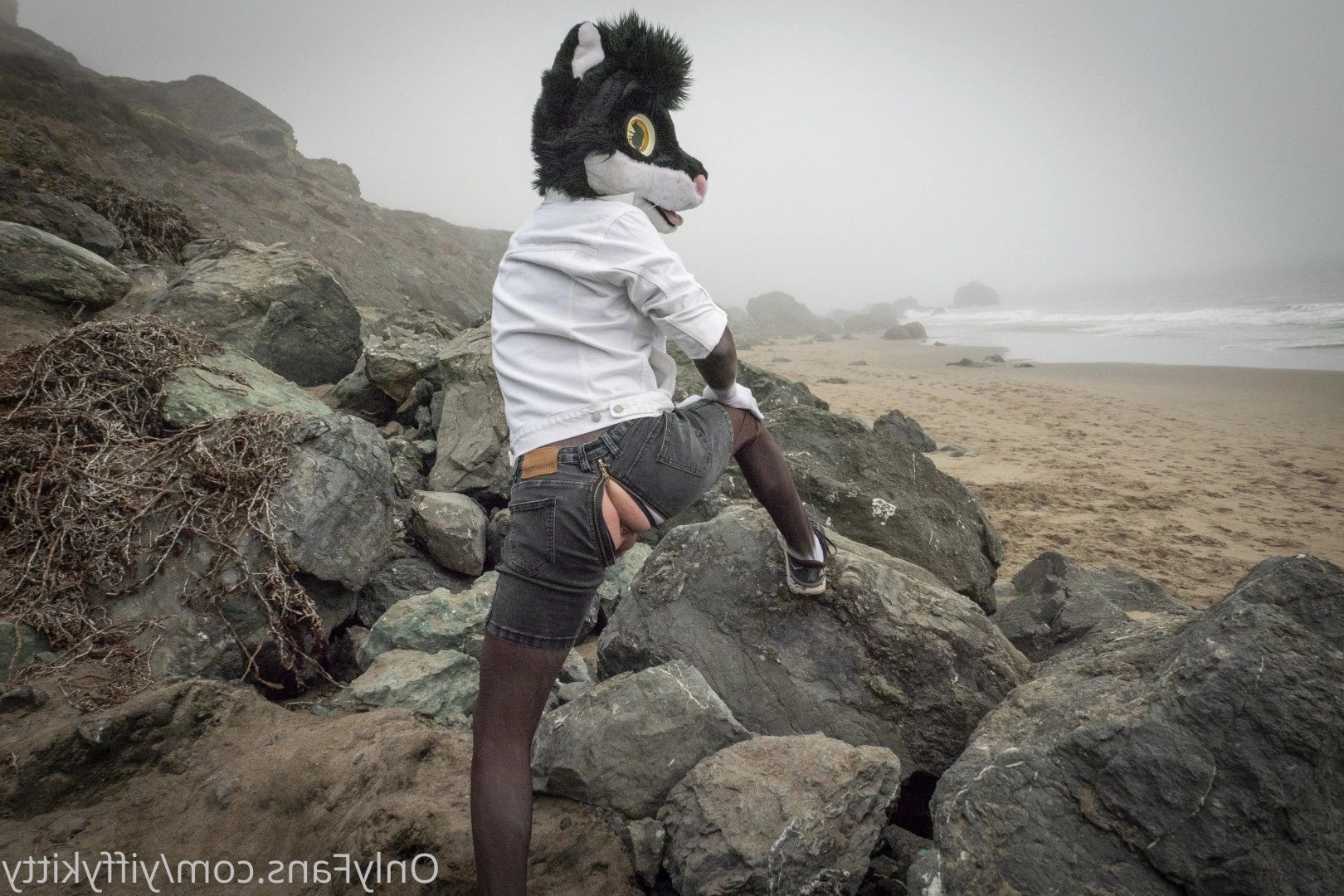 Jamie Sharp [ yiffykitty ] Onlyfans leaked photo 2582096 on Hotleaks.tv
