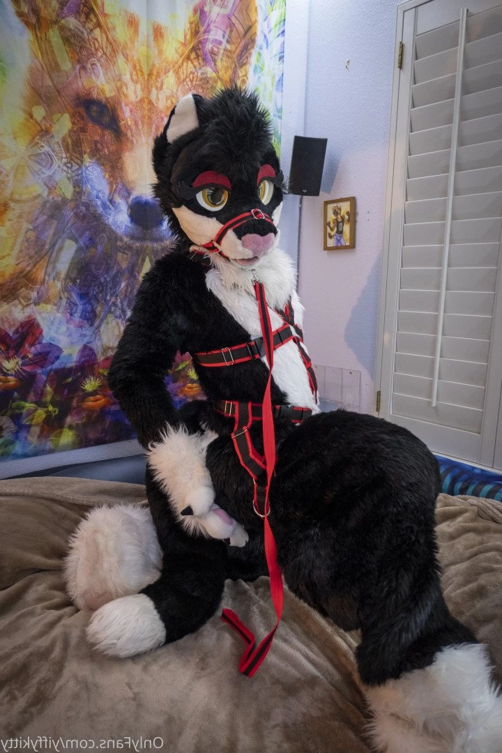 Jamie Sharp [ yiffykitty ] Onlyfans leaked photo 2582187 on Hotleaks.tv