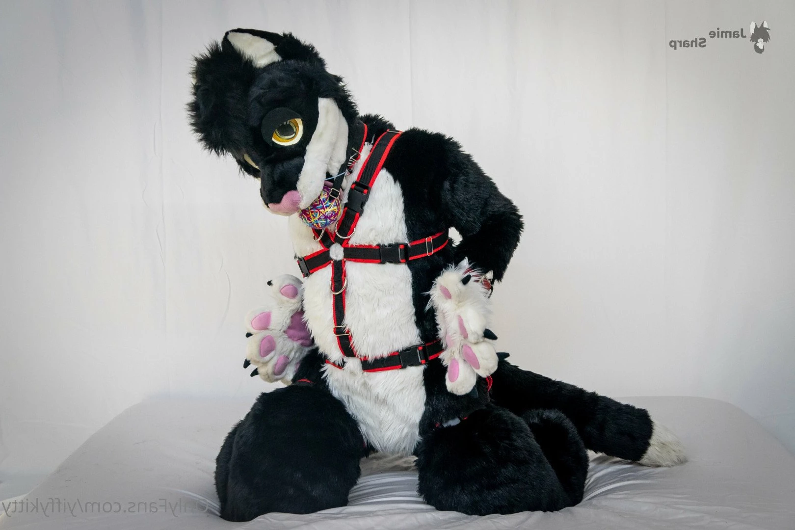 Jamie Sharp [ yiffykitty ] Onlyfans leaked photo 2582261 on Hotleaks.tv
