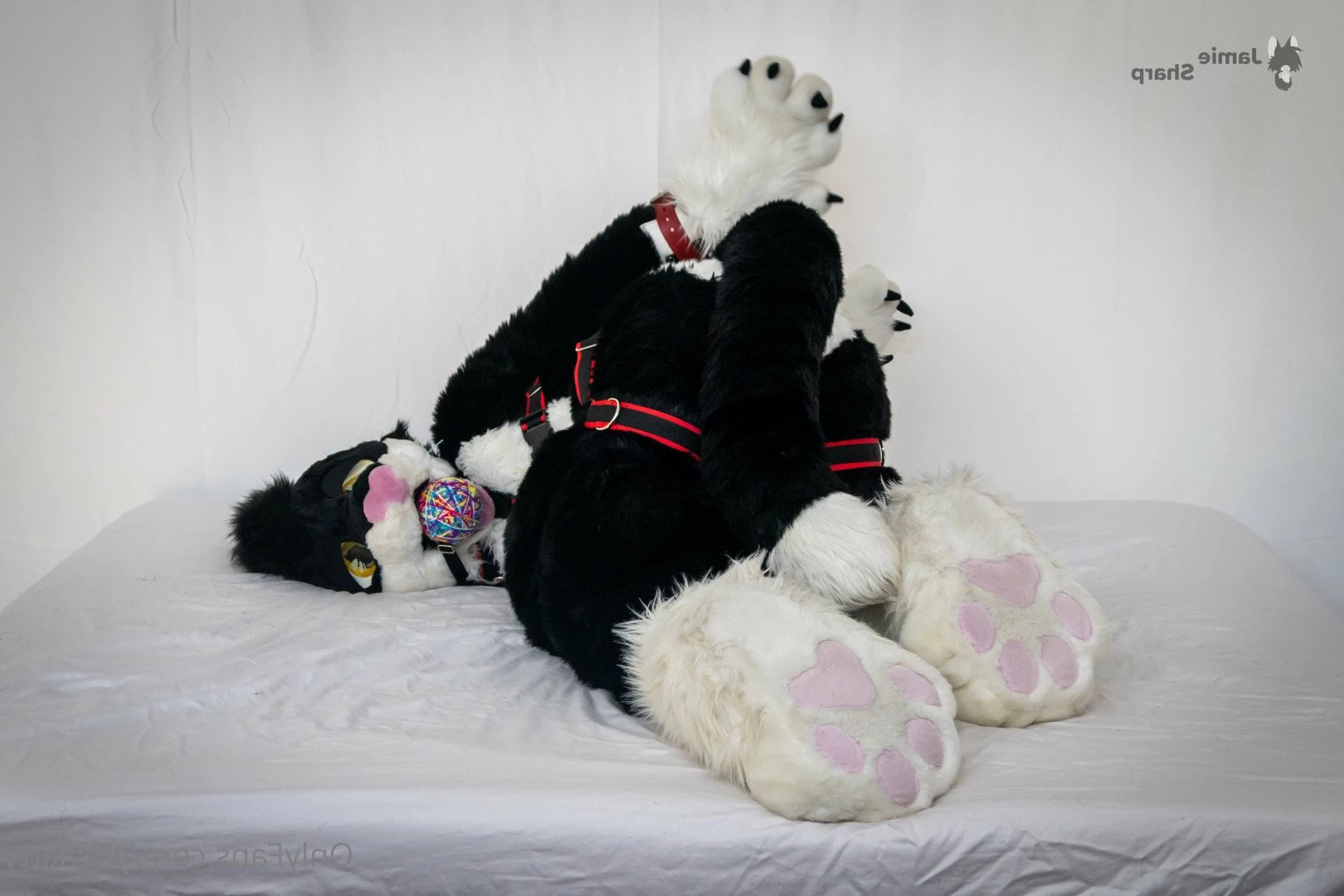 Jamie Sharp [ yiffykitty ] Onlyfans leaked photo 2582290 on Hotleaks.tv