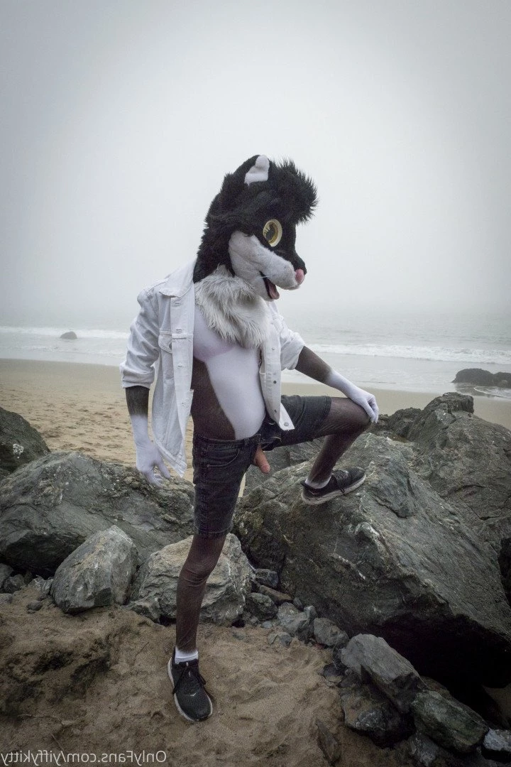 Jamie Sharp [ yiffykitty ] Onlyfans leaked photo 2582424 on Hotleaks.tv