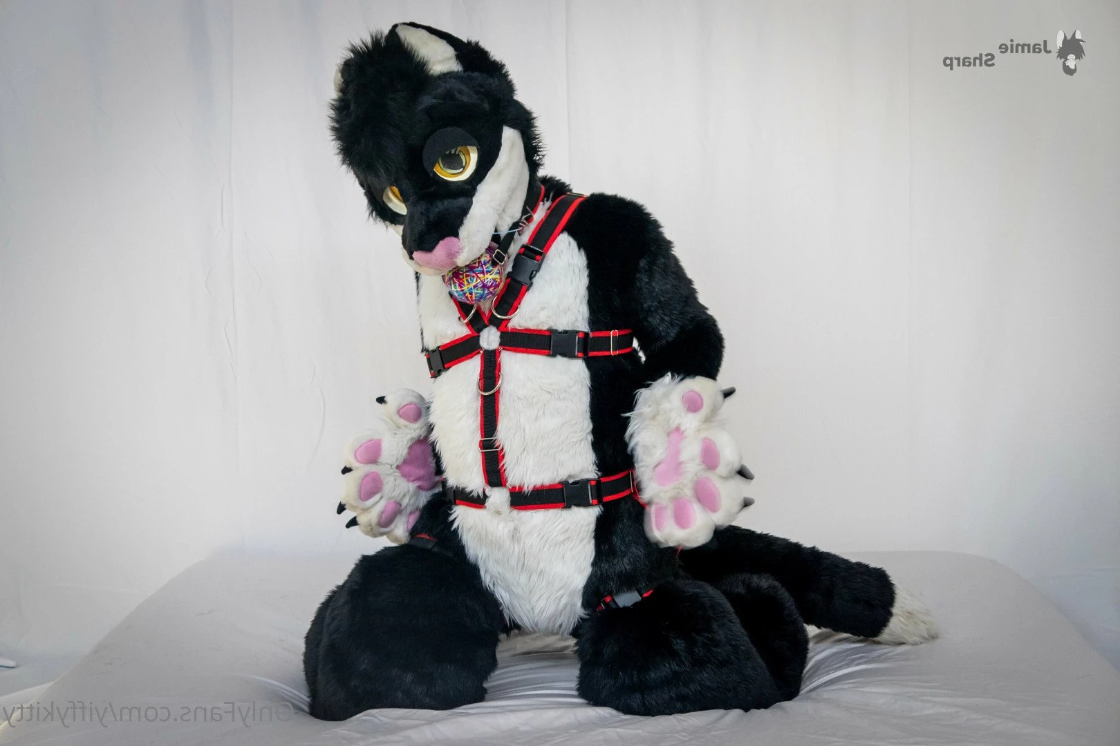 Jamie Sharp [ yiffykitty ] Onlyfans leaked photo 2582440 on Hotleaks.tv