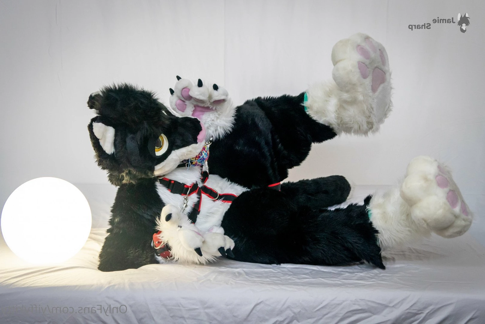 Jamie Sharp [ yiffykitty ] Onlyfans leaked photo 2582450 on Hotleaks.tv