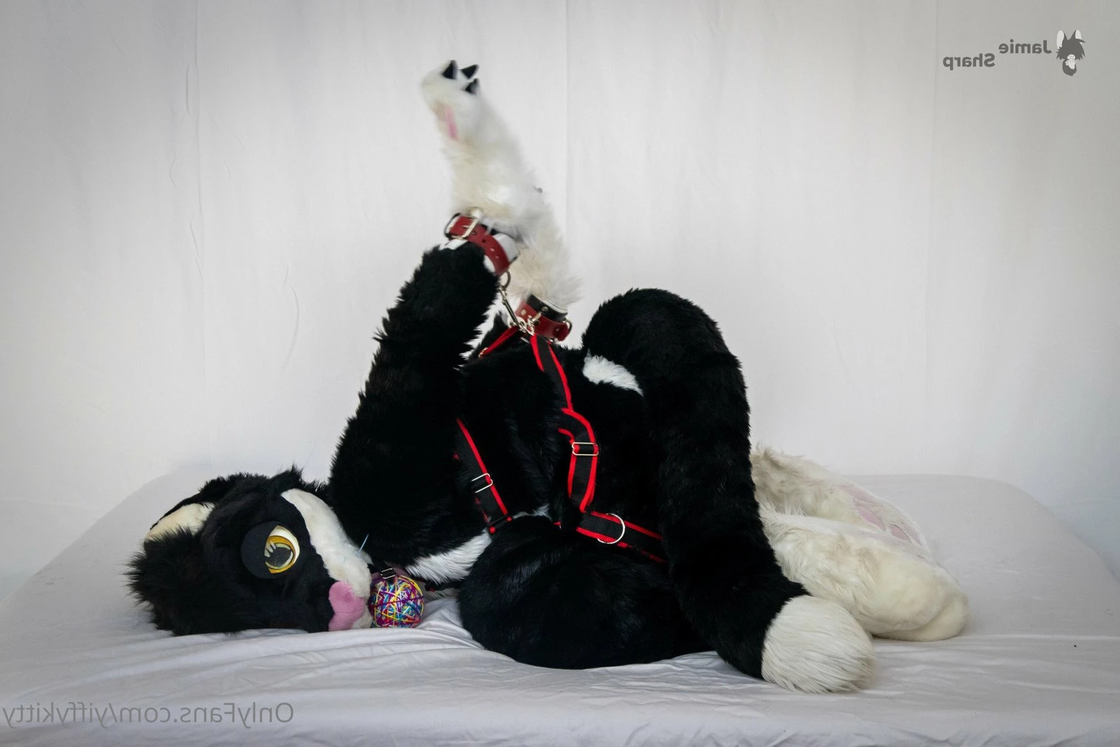 Jamie Sharp [ yiffykitty ] Onlyfans leaked photo 2582474 on Hotleaks.tv