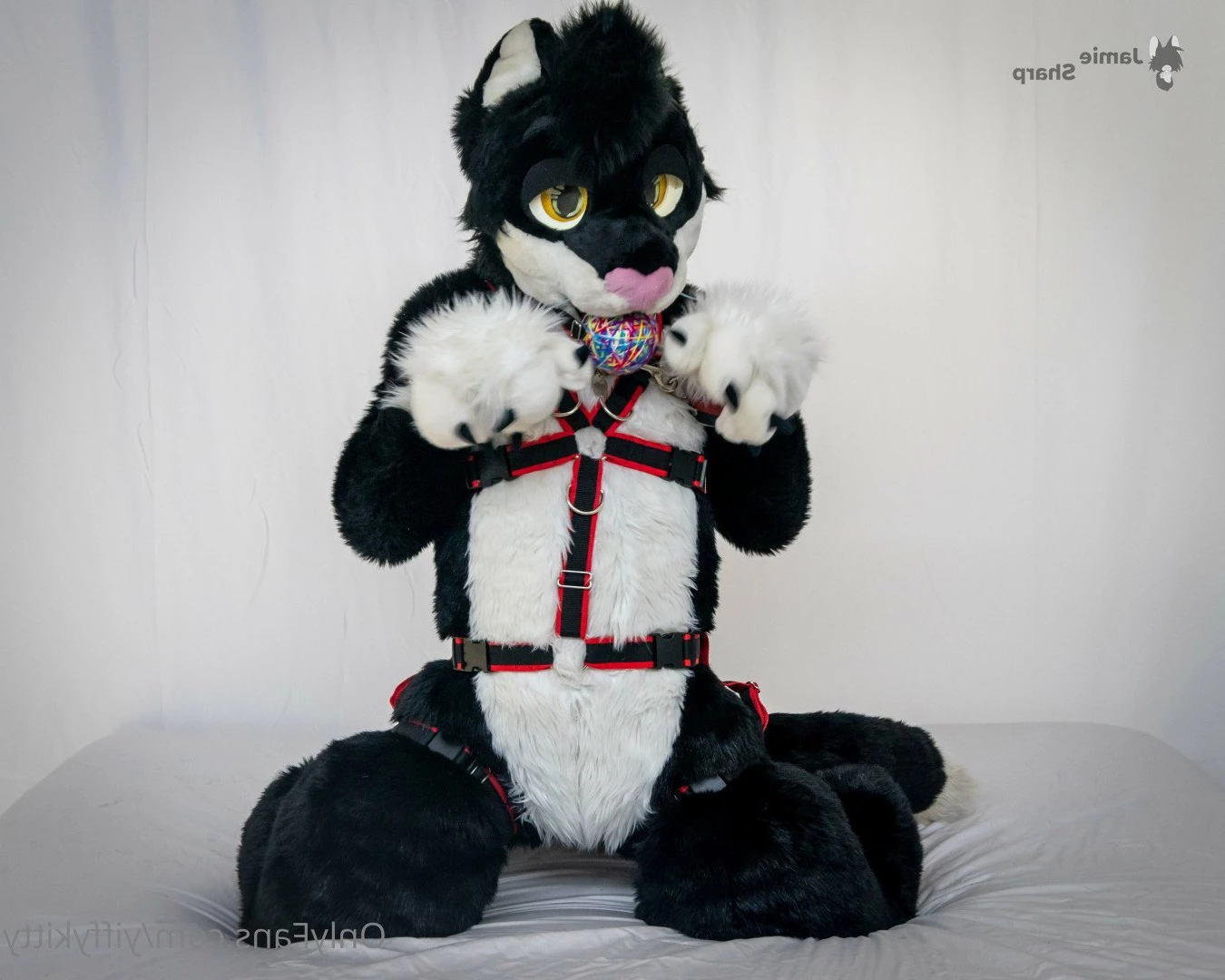 Jamie Sharp [ yiffykitty ] Onlyfans leaked photo 2582503 on Hotleaks.tv