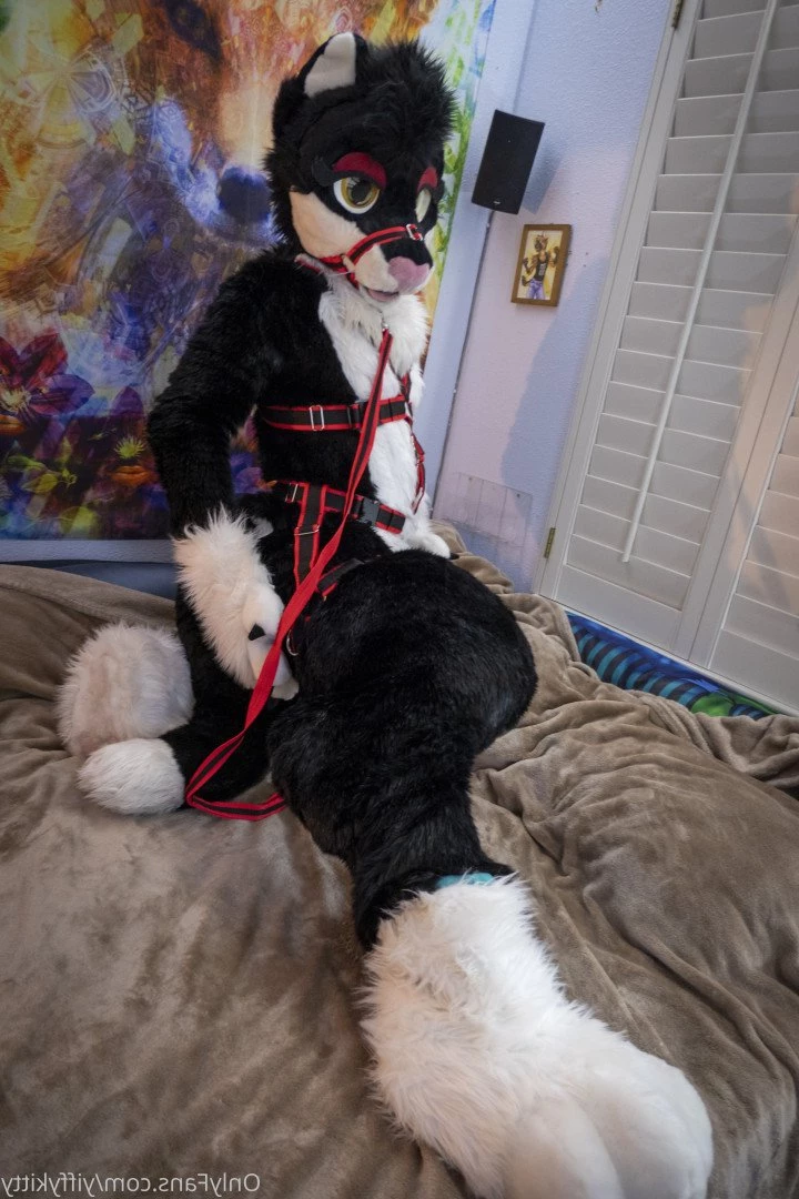 Jamie Sharp [ yiffykitty ] Onlyfans leaked photo 2582563 on Hotleaks.tv