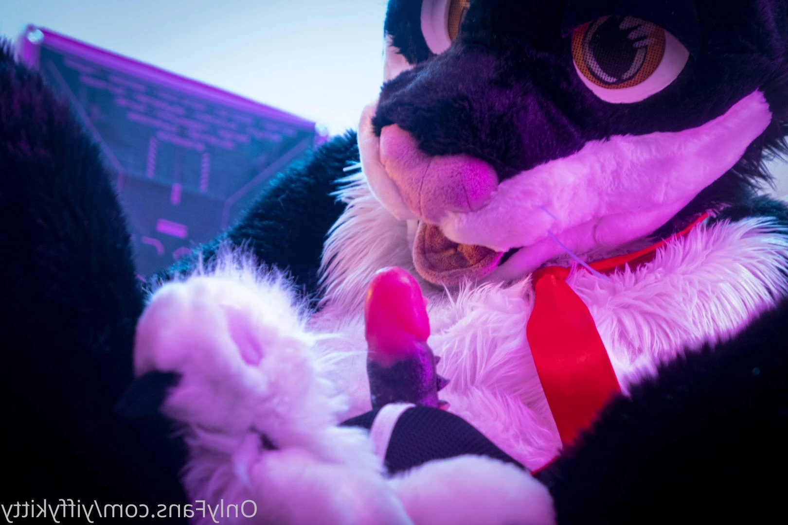 Jamie Sharp [ yiffykitty ] Onlyfans leaked photo 2582574 on Hotleaks.tv