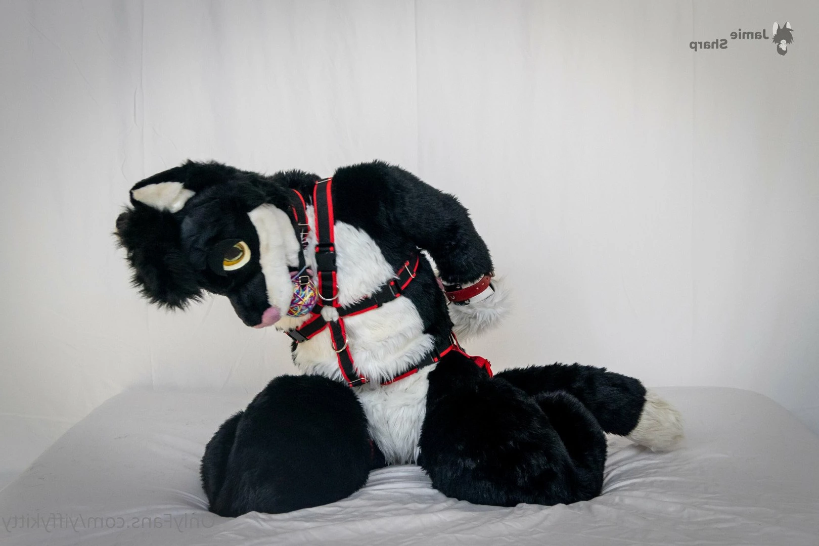 Jamie Sharp [ yiffykitty ] Onlyfans leaked photo 2582777 on Hotleaks.tv