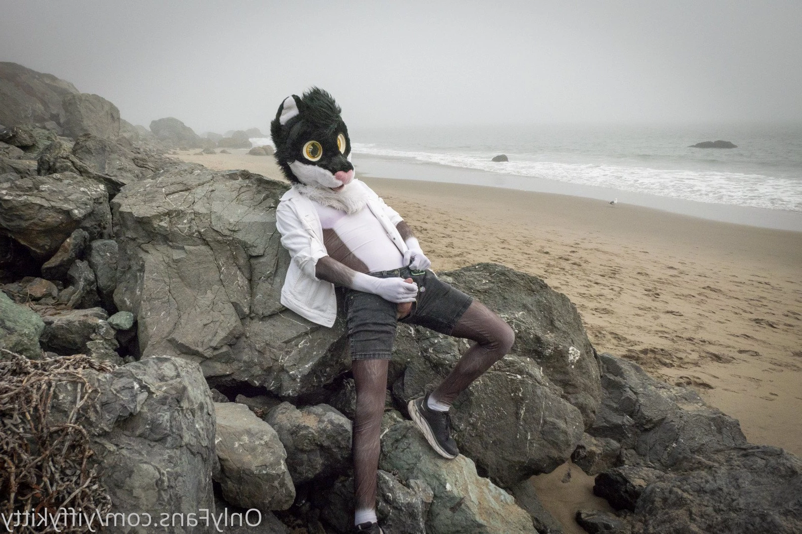 Jamie Sharp [ yiffykitty ] Onlyfans leaked photo 2582828 on Hotleaks.tv