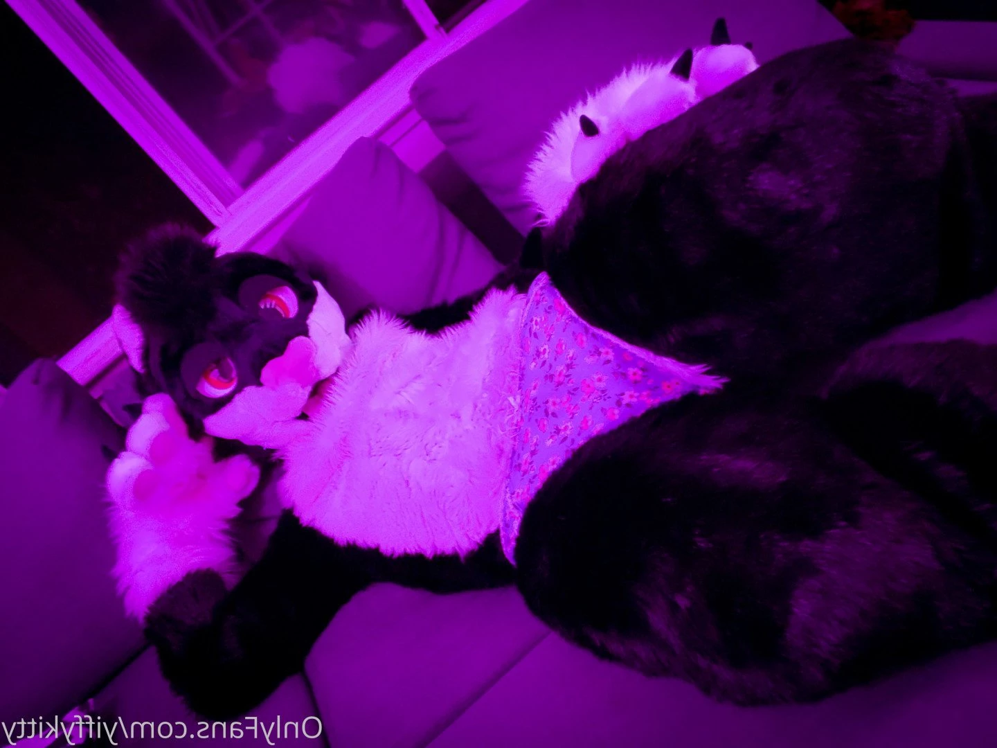 Jamie Sharp [ yiffykitty ] Onlyfans leaked photo 2582976 on Hotleaks.tv