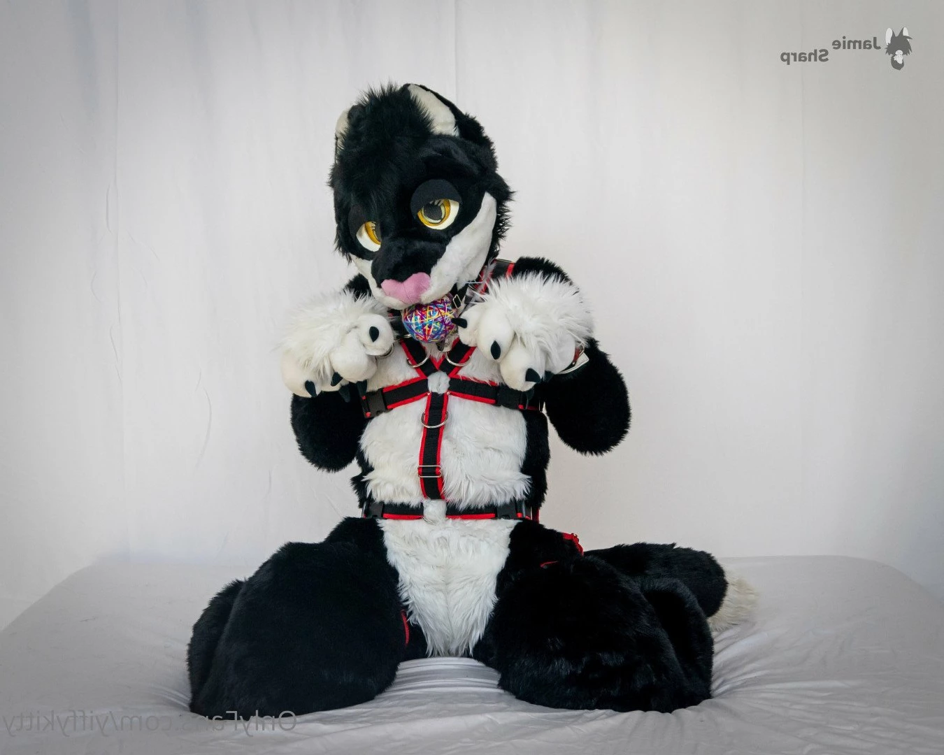 Jamie Sharp [ yiffykitty ] Onlyfans leaked photo 2582985 on Hotleaks.tv