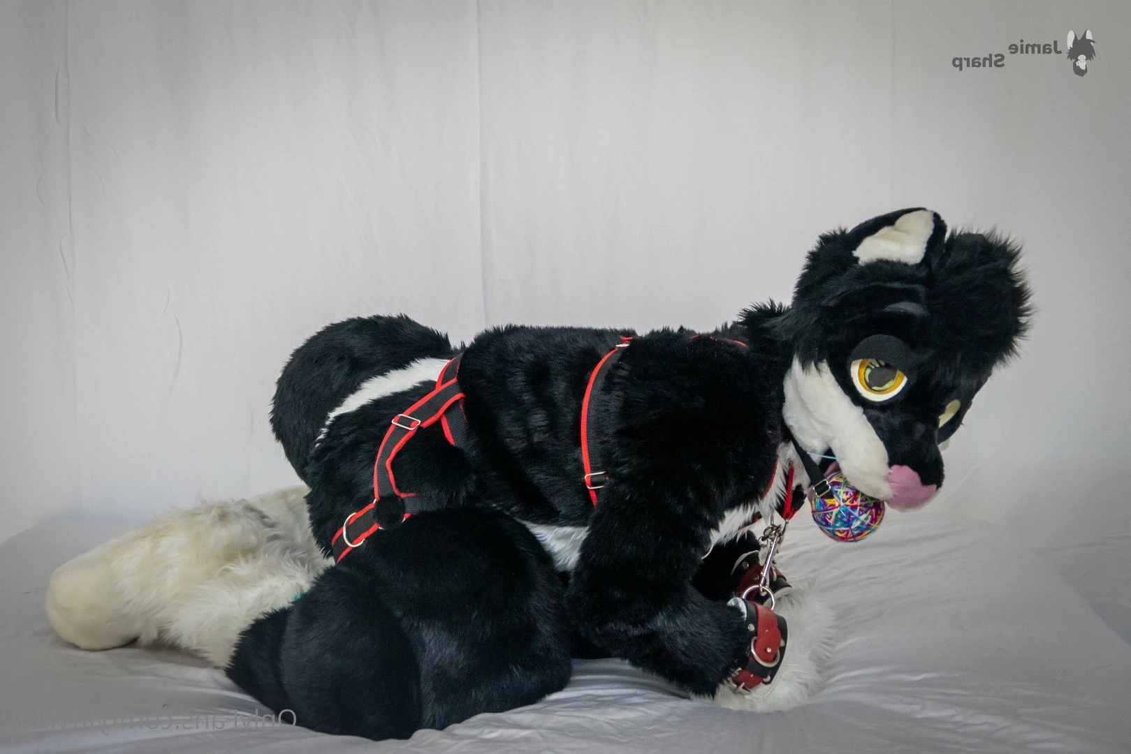 Jamie Sharp [ yiffykitty ] Onlyfans leaked photo 2583016 on Hotleaks.tv