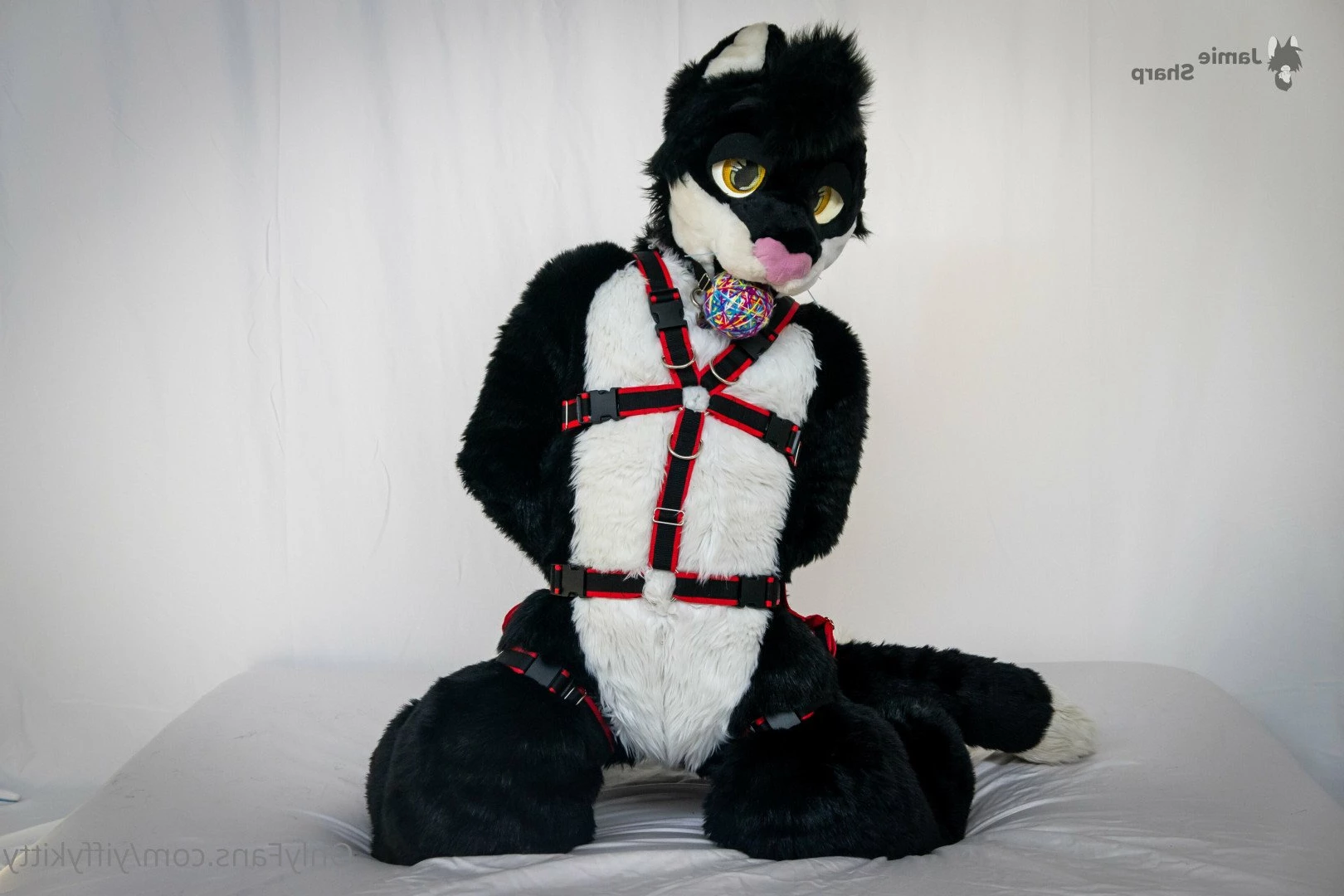Jamie Sharp [ yiffykitty ] Onlyfans leaked photo 2583064 on Hotleaks.tv