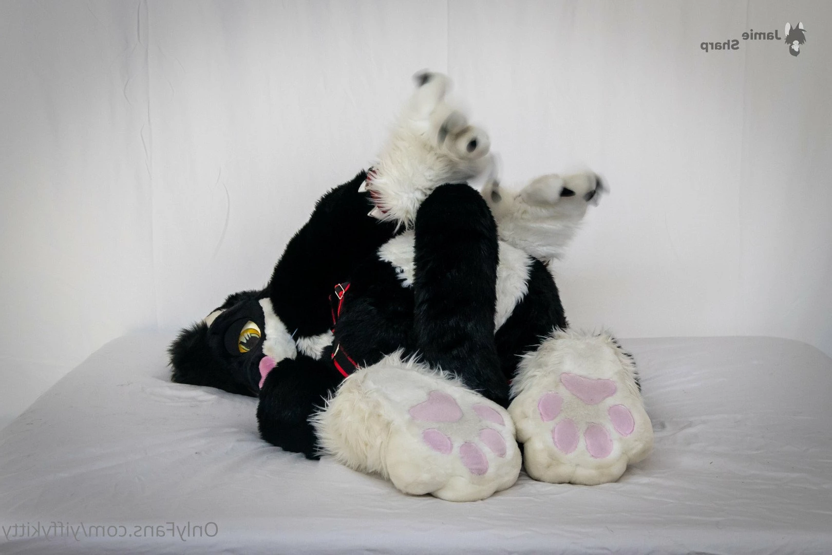 Jamie Sharp [ yiffykitty ] Onlyfans leaked photo 2583177 on Hotleaks.tv
