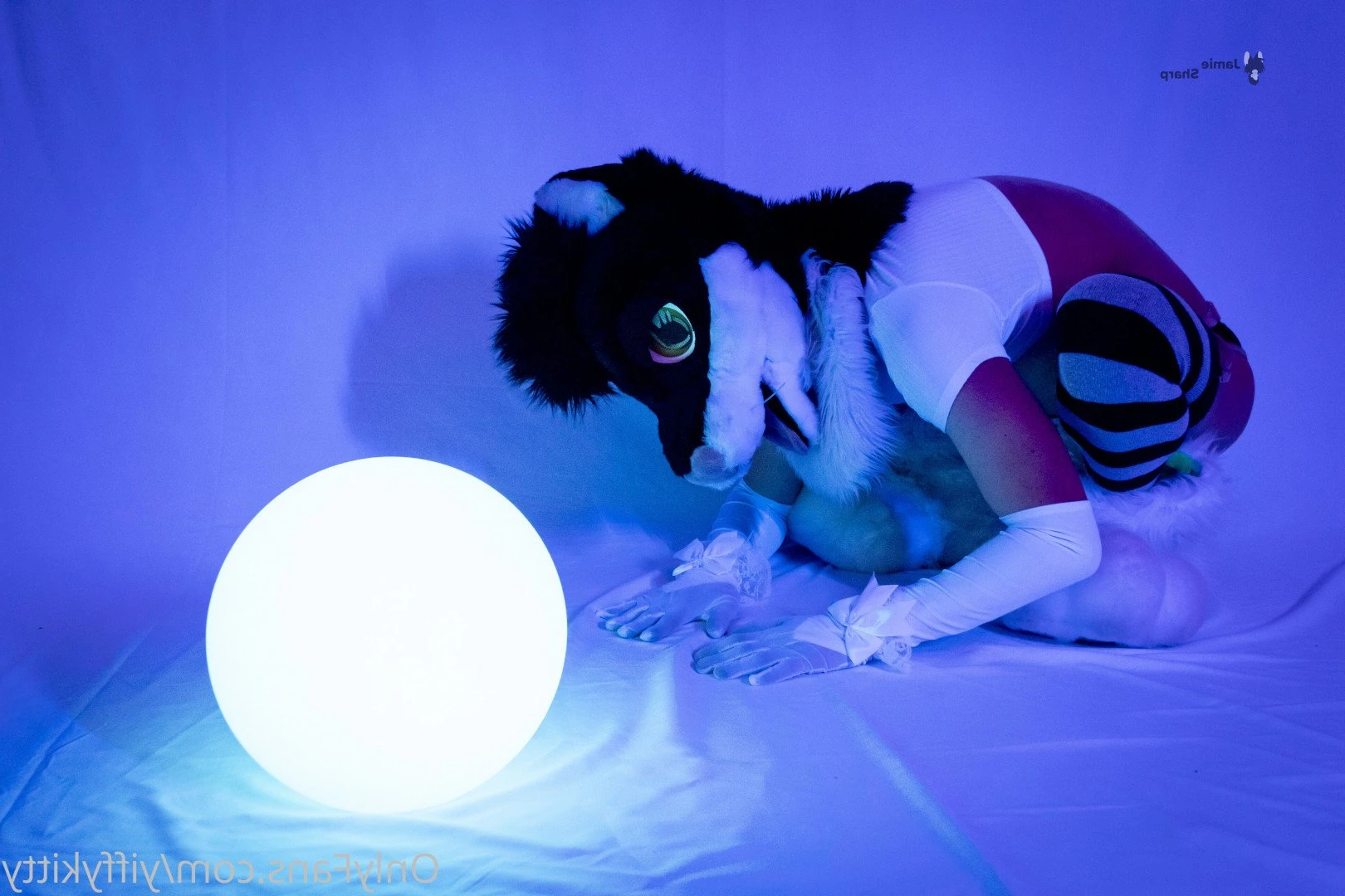 Jamie Sharp [ yiffykitty ] Onlyfans leaked photo 2583243 on Hotleaks.tv
