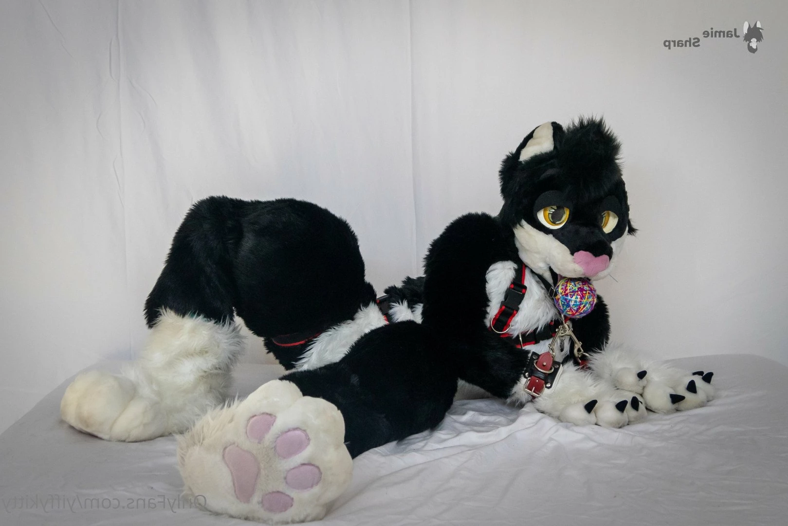 Jamie Sharp [ yiffykitty ] Onlyfans leaked photo 2583324 on Hotleaks.tv