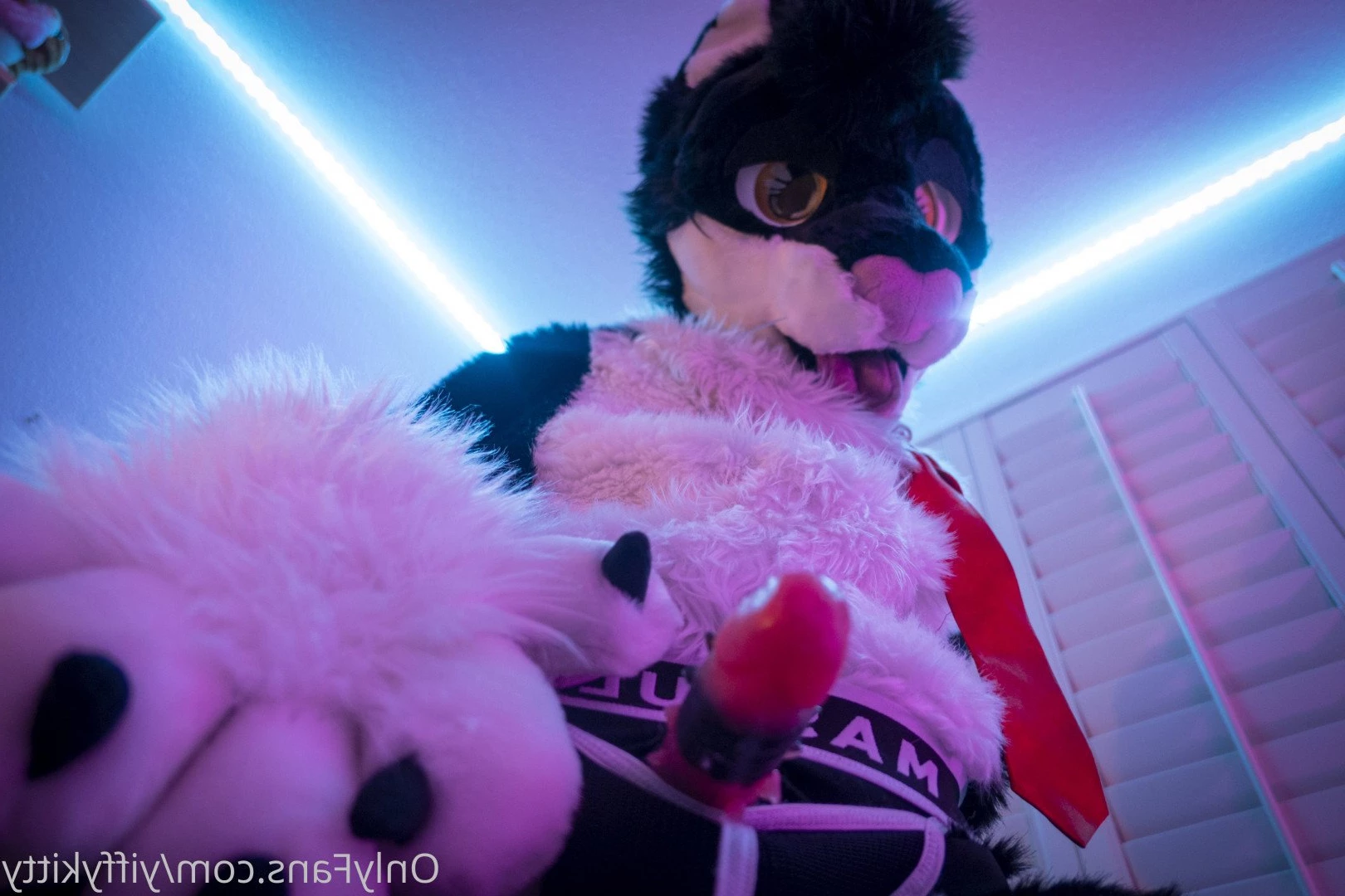 Jamie Sharp [ yiffykitty ] Onlyfans leaked photo 2583488 on Hotleaks.tv