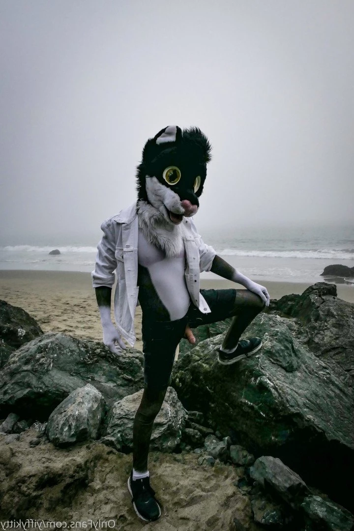 Jamie Sharp [ yiffykitty ] Onlyfans leaked photo 2583553 on Hotleaks.tv