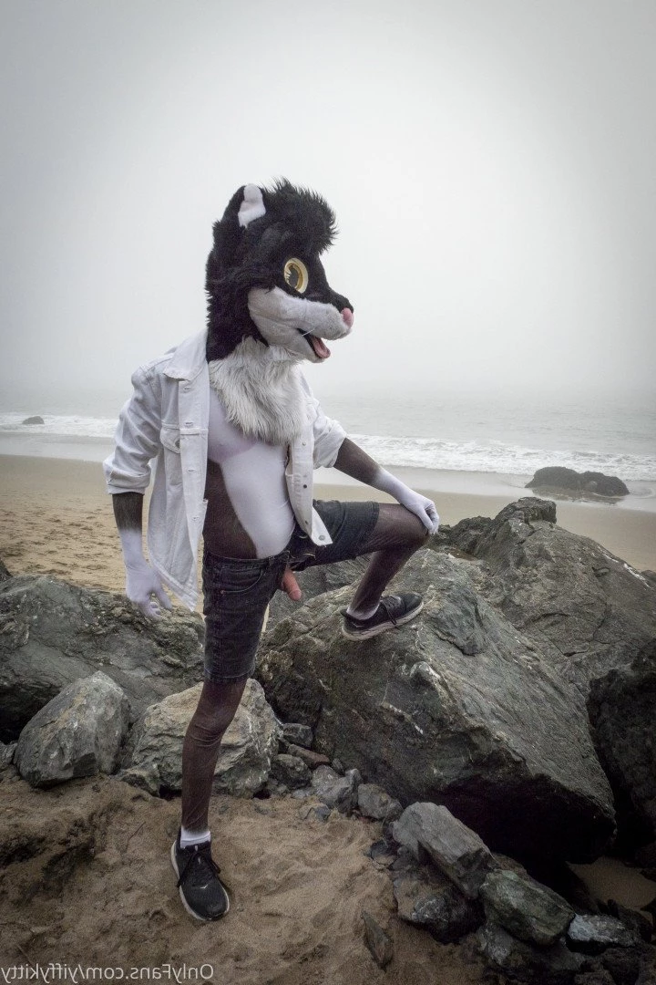 Jamie Sharp [ yiffykitty ] Onlyfans leaked photo 2583577 on Hotleaks.tv
