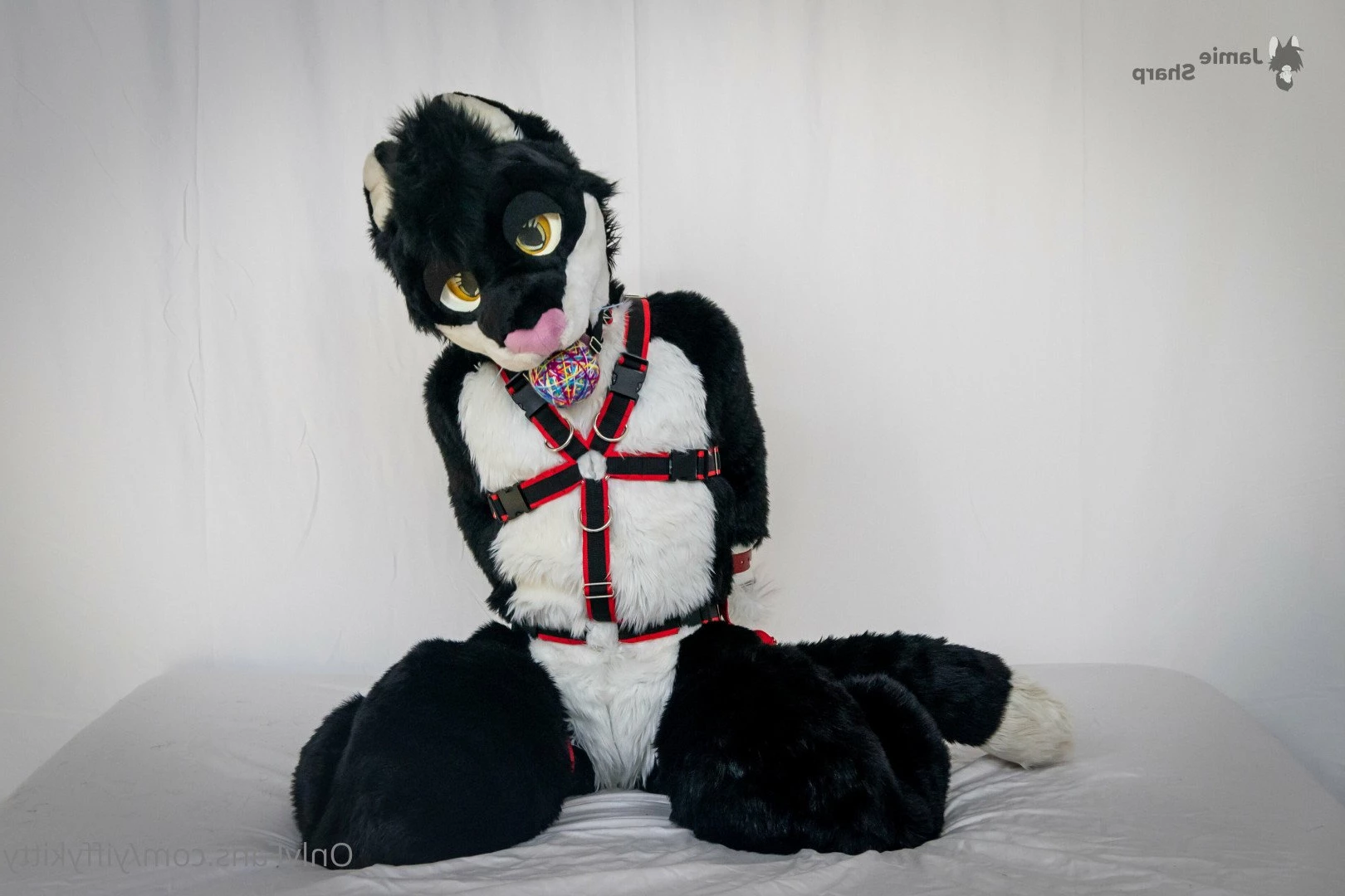 Jamie Sharp [ yiffykitty ] Onlyfans leaked photo 2583770 on Hotleaks.tv