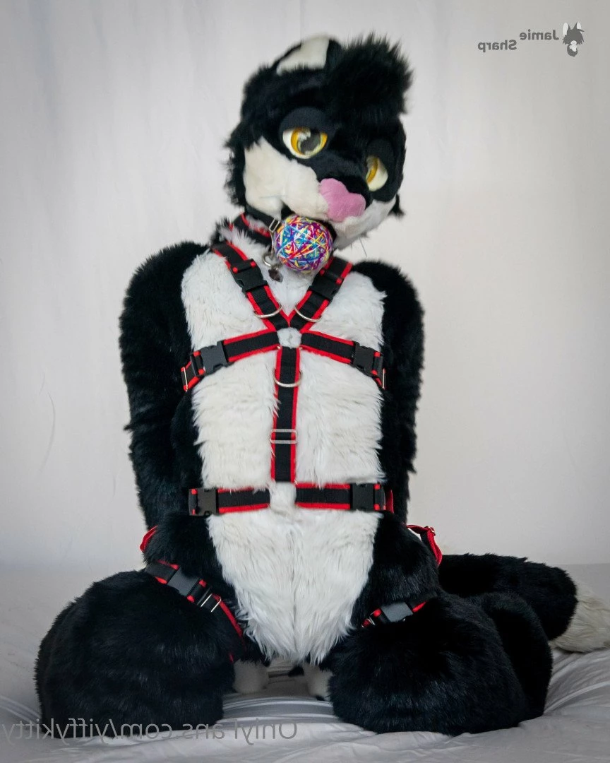 Jamie Sharp [ yiffykitty ] Onlyfans leaked photo 2583852 on Hotleaks.tv