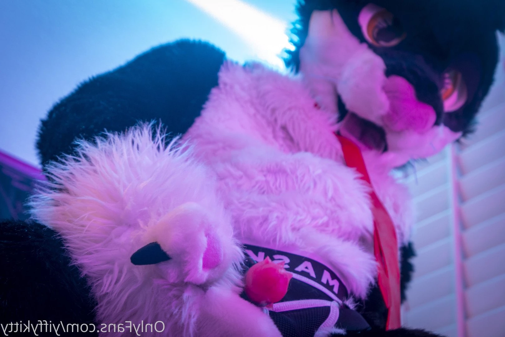 Jamie Sharp [ yiffykitty ] Onlyfans leaked photo 2583918 on Hotleaks.tv