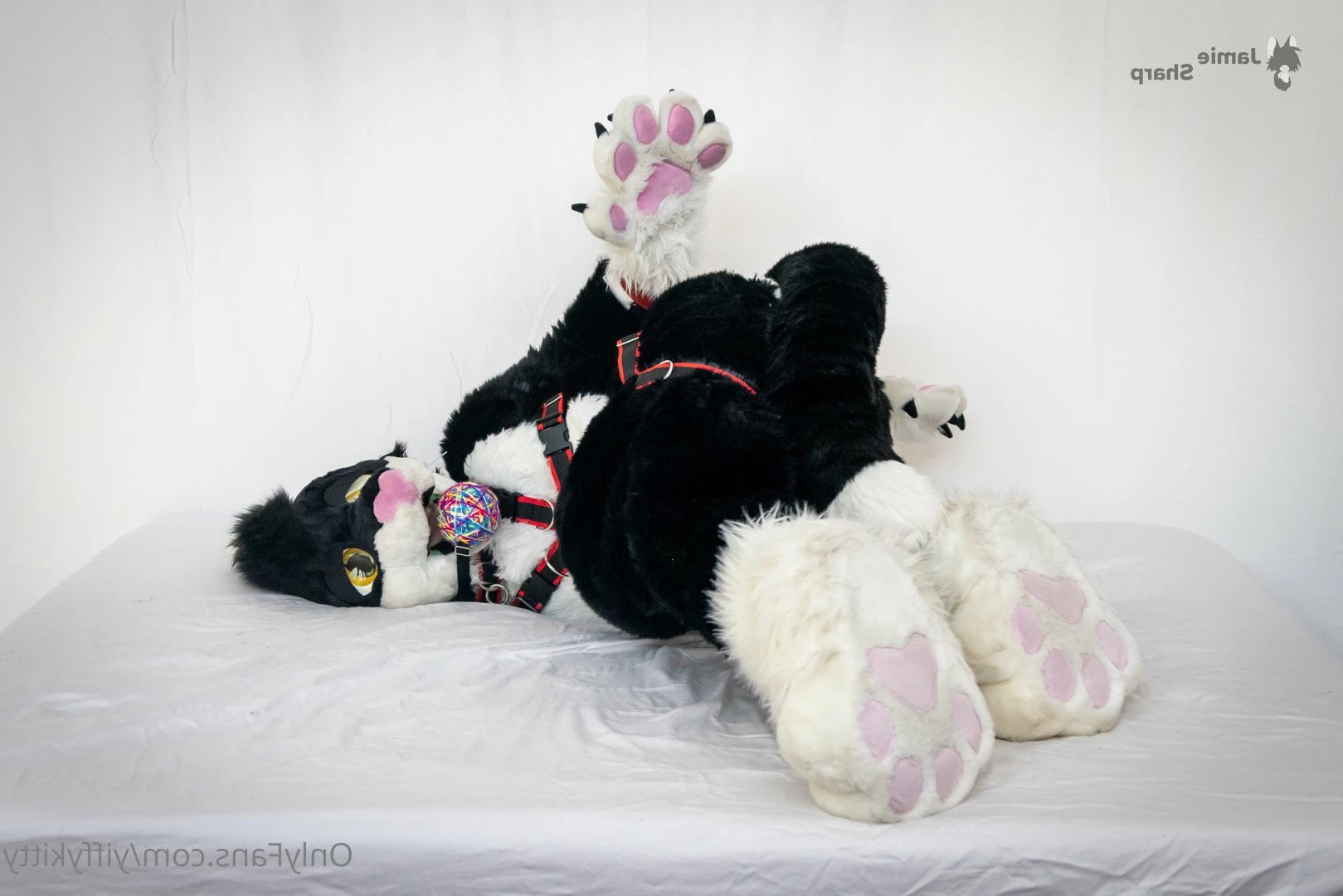 Jamie Sharp [ yiffykitty ] Onlyfans leaked photo 2583926 on Hotleaks.tv