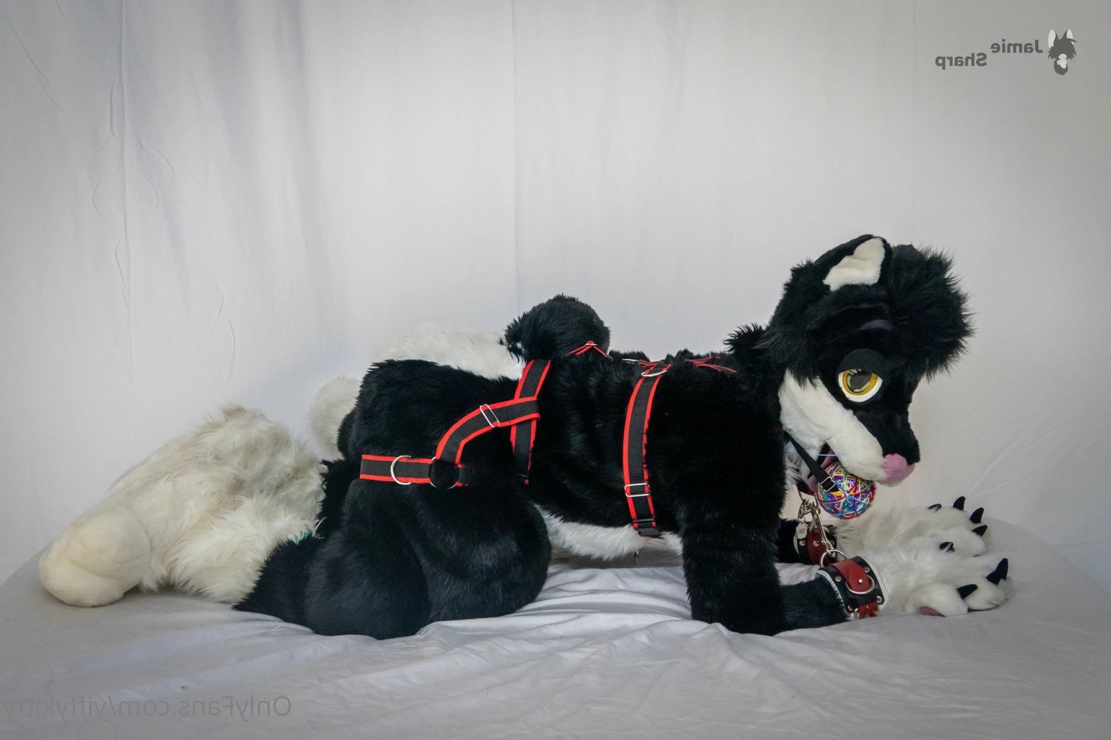 Jamie Sharp [ yiffykitty ] Onlyfans leaked photo 2583958 on Hotleaks.tv