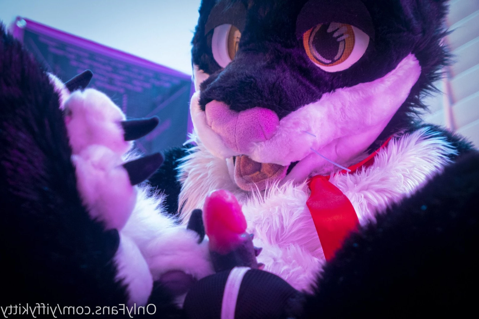 Jamie Sharp [ yiffykitty ] Onlyfans leaked photo 2583963 on Hotleaks.tv