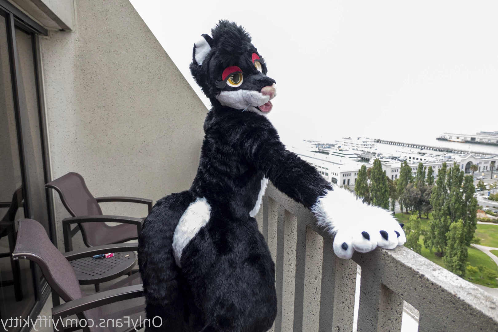 Jamie Sharp [ yiffykitty ] Onlyfans leaked photo 5827212 on Hotleaks.tv