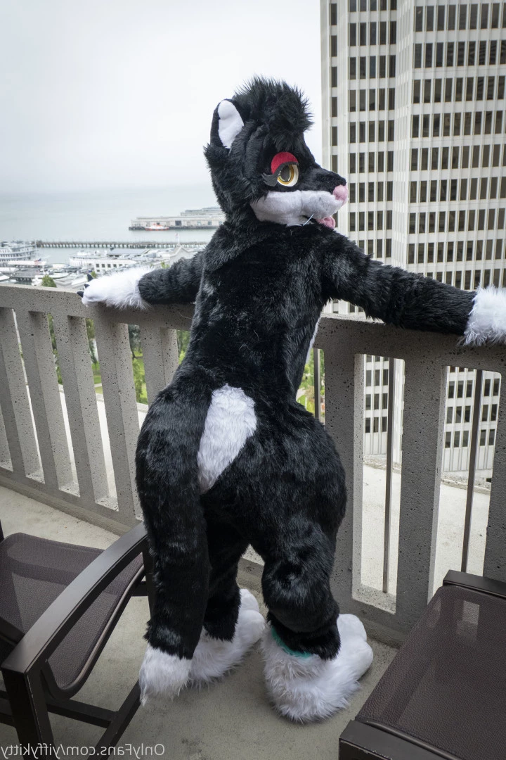 Jamie Sharp [ yiffykitty ] Onlyfans leaked photo 5827600 on Hotleaks.tv