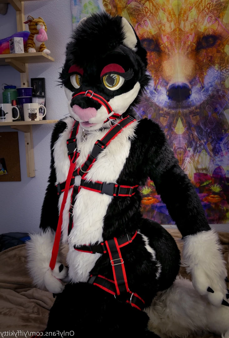 Jamie Sharp [ yiffykitty ] Onlyfans leaked photo 9796832 on Hotleaks.tv