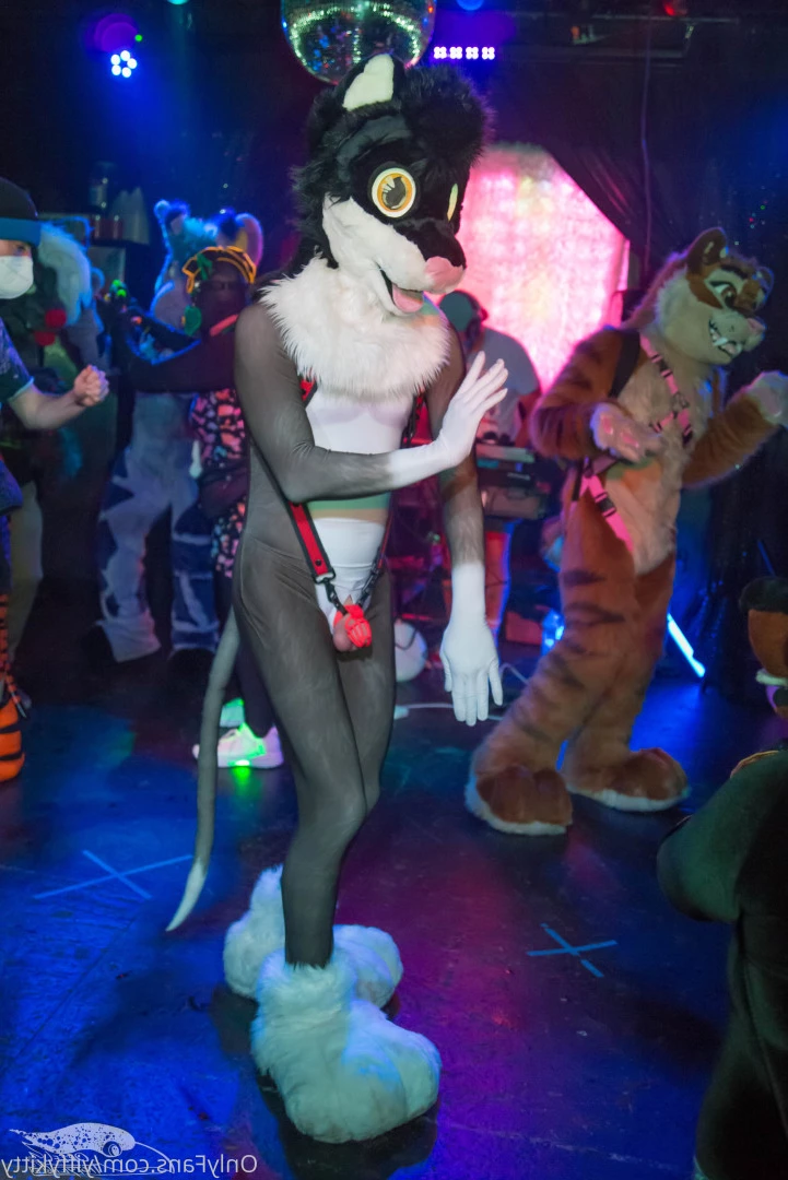 Jamie Sharp [ yiffykitty ] Onlyfans leaked photo 9796844 on Hotleaks.tv