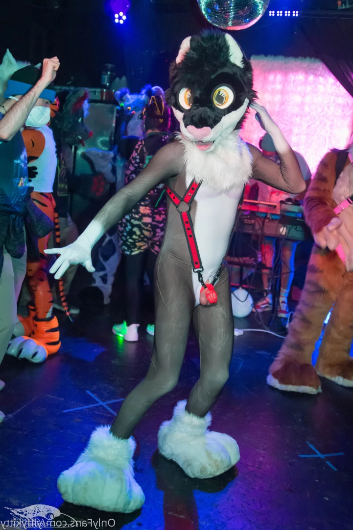 Jamie Sharp [ yiffykitty ] Onlyfans leaked photo 9797031 on Hotleaks.tv