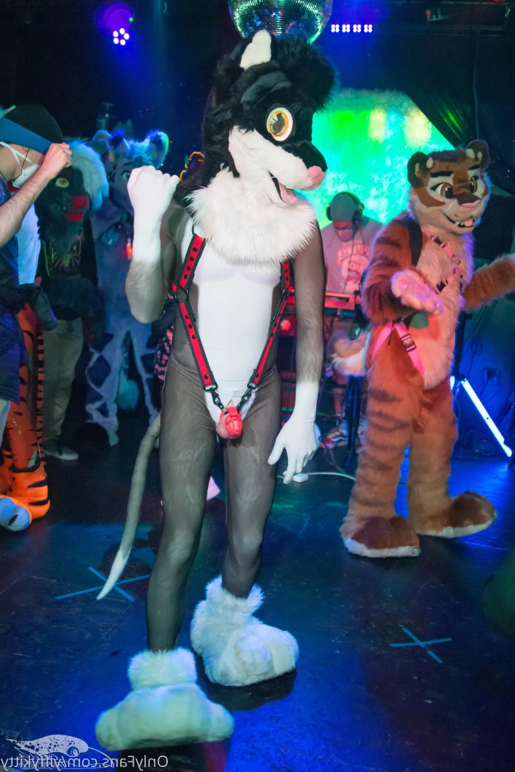 Jamie Sharp [ yiffykitty ] Onlyfans leaked photo 9797469 on Hotleaks.tv