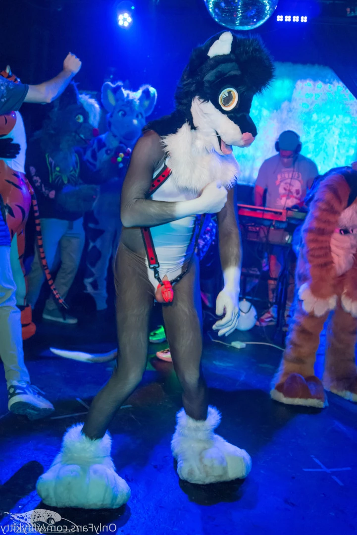 Jamie Sharp [ yiffykitty ] Onlyfans leaked photo 9797534 on Hotleaks.tv