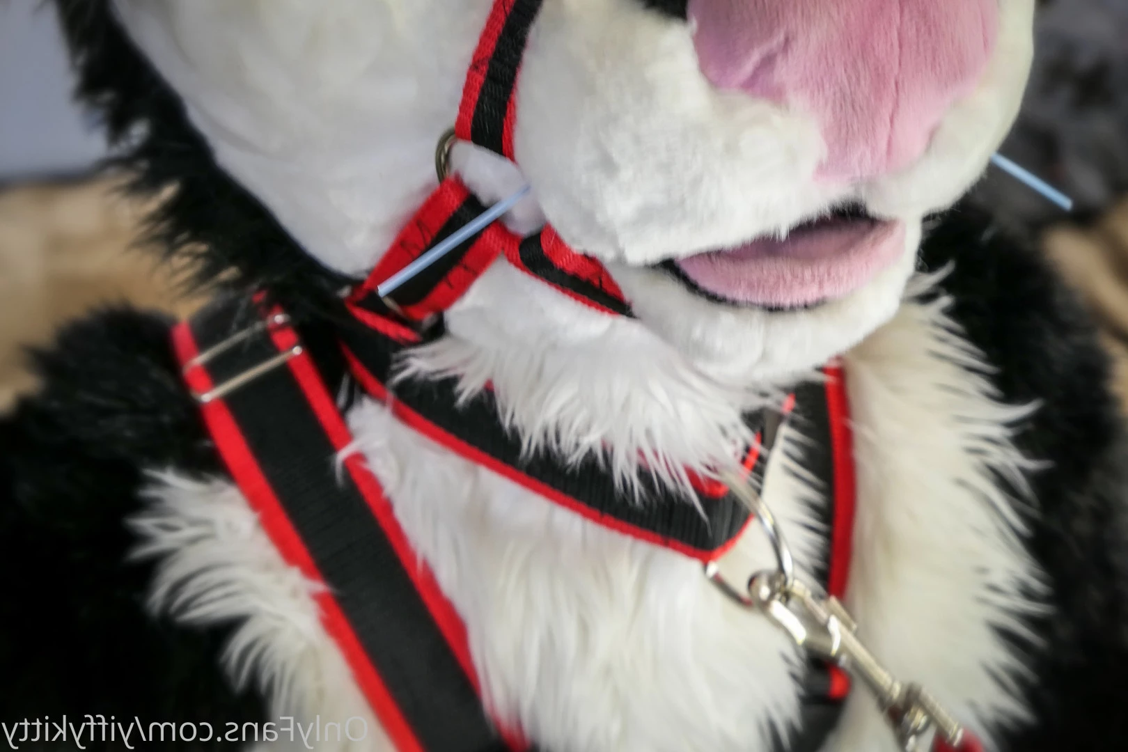Jamie Sharp [ yiffykitty ] Onlyfans leaked photo 9797781 on Hotleaks.tv