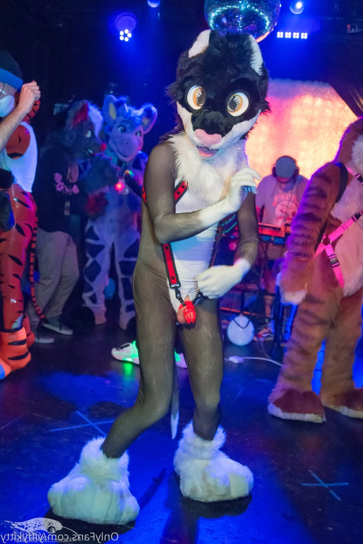Jamie Sharp [ yiffykitty ] Onlyfans leaked photo 9798084 on Hotleaks.tv