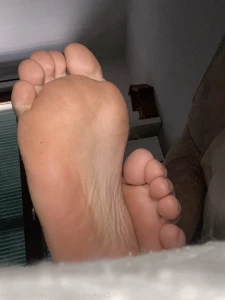 2569706