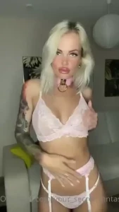 18276610