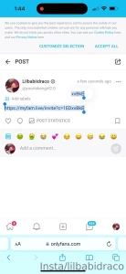 14667026