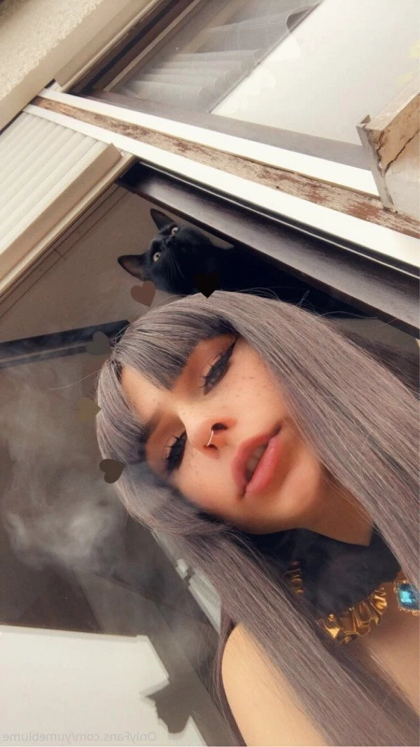 YumeBlume 🕊 [ yumeblume ] Onlyfans leaked photo 2571788 on Hotleaks.tv