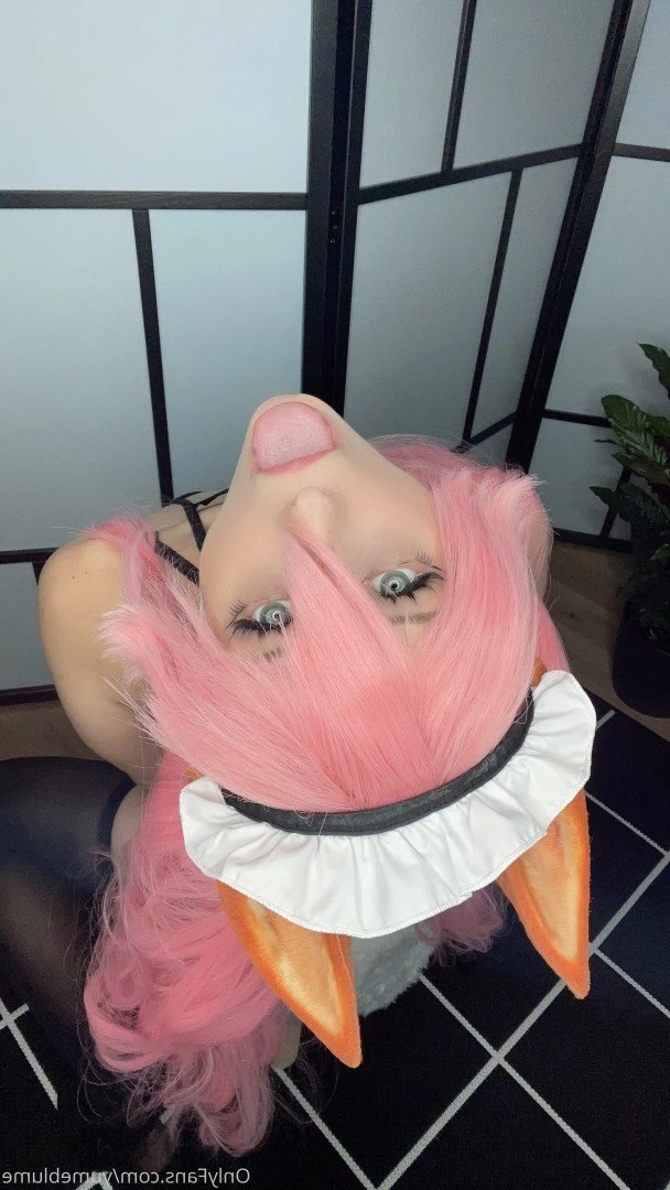 YumeBlume 🕊 [ yumeblume ] Onlyfans leaked photo 2572821 on Hotleaks.tv