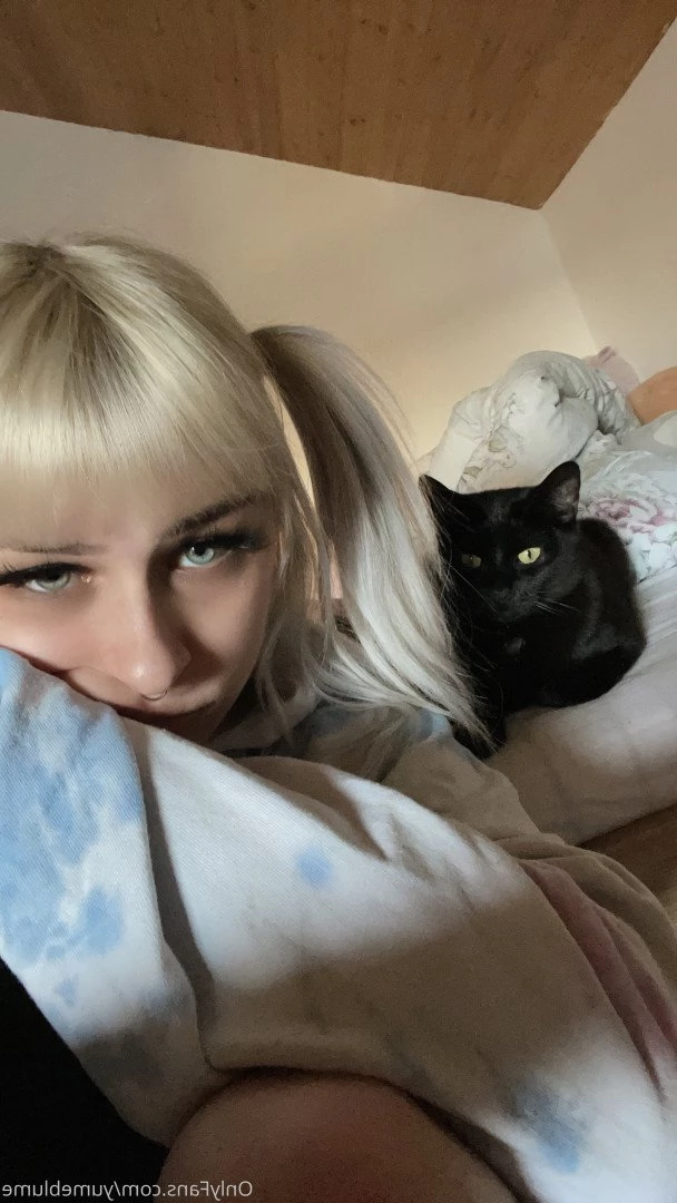 YumeBlume 🕊 [ yumeblume ] Onlyfans leaked photo 2578111 on Hotleaks.tv