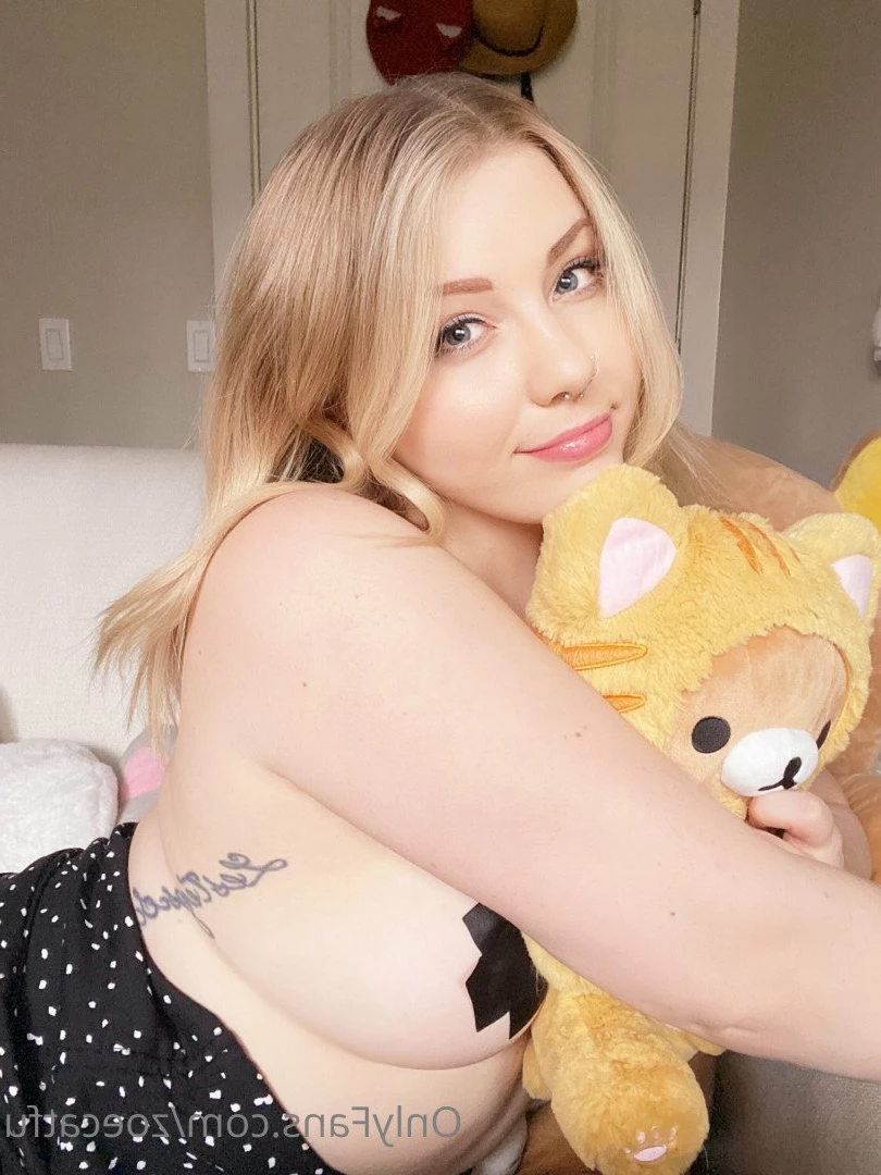 zoecatfu Onlyfans leaked photo 2568088 on Hotleaks.tv