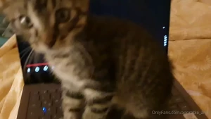 Alice your adorable Muse [ adorable_alice ] Onlyfans leaked video 12831093 on Hotleaks.tv