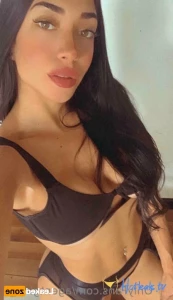 15054520