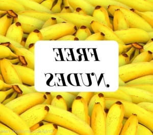 4660252